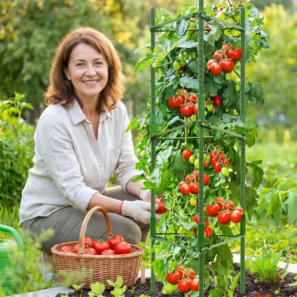 tuteur-pour-tomates-récolte