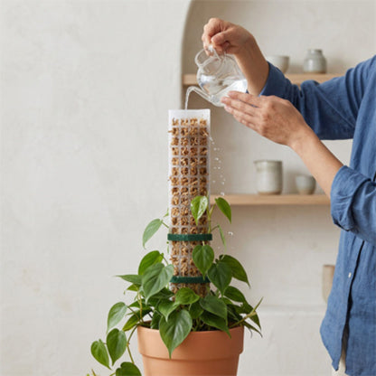 tuteur-sphaigne​-arrosage