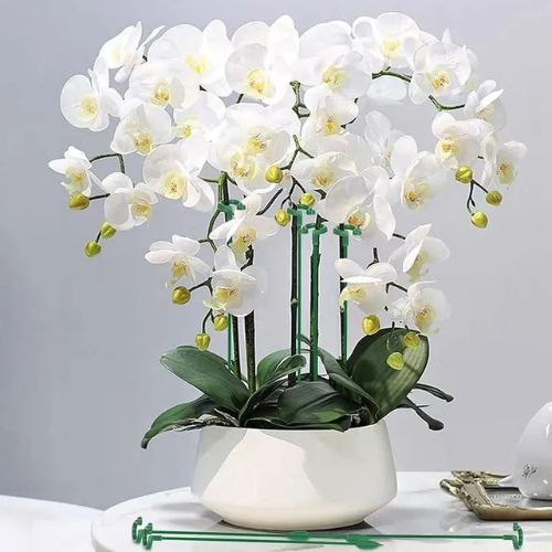 tuteurs-fleurs