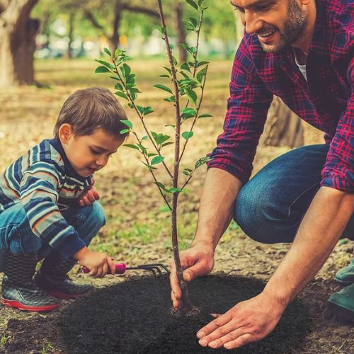 Paillages pour jardin - Contrôle des mauvaises herbe