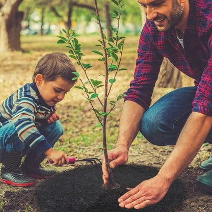 Paillages pour jardin - Contrôle des mauvaises herbe