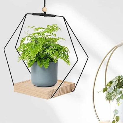 Suspension Plante | Floating Flora™