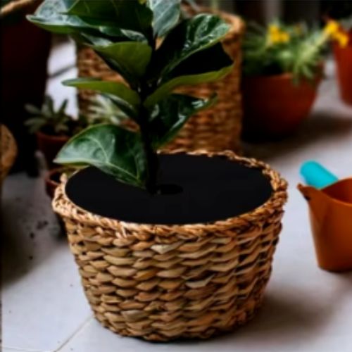 Paillages pour jardin - Contrôle des mauvaises herbe