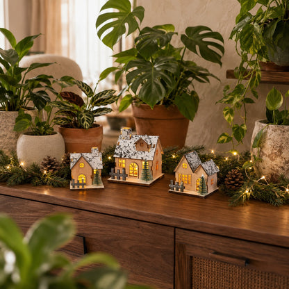 village-de-noel-plantes